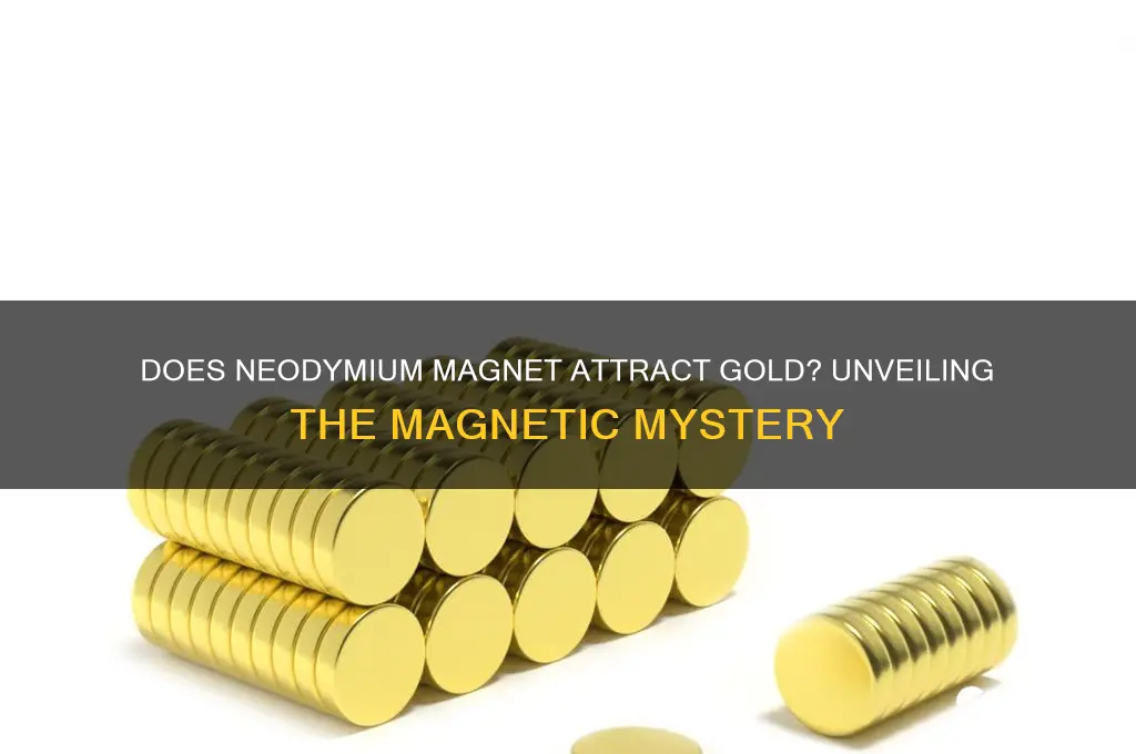 will a neodymium magnet attract gold