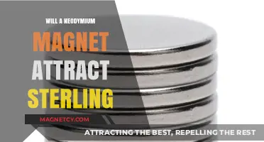 Neodymium Magnets and Sterling Silver: Attraction or Repulsion?