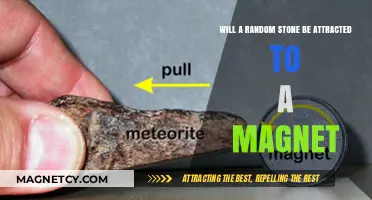 Can a Magnet Attract a Random Stone? Unveiling the Truth