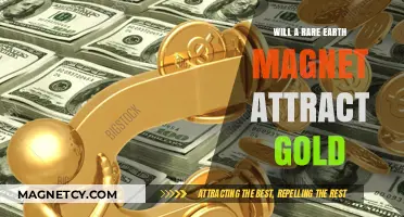 Rare Earth Magnets and Gold: Unveiling the Attraction Mystery