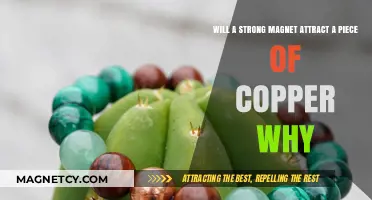 Does Copper Respond to Strong Magnets? Exploring Magnetic Attraction