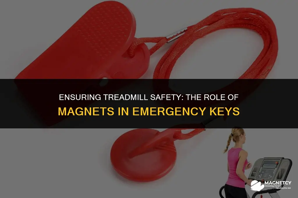 will any magnet work for treadmill safety key