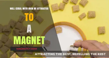 Does Iron-Fortified Cereal Stick to Magnets? Science Explained