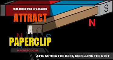 Do Magnets Attract Paperclips at Either Pole: A Simple Experiment