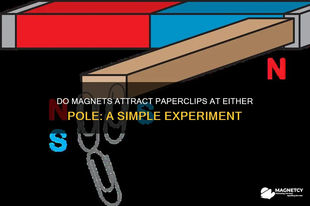 will either pole of a magnet attract a paperclip