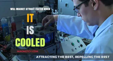 Cooling Magnets: Does Temperature Boost Attraction Speed?