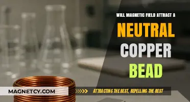 Can Neutral Copper Beads Be Attracted by Magnetic Fields?
