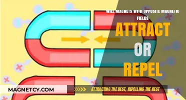 Opposite Magnetic Fields: Do Magnets Attract or Repel Each Other?