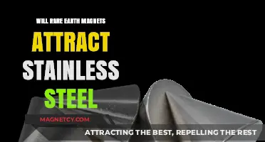 Do Rare Earth Magnets Attract Stainless Steel? Unveiling the Truth