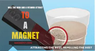 Iron and Vitamin: Magnetic Attraction or Myth?