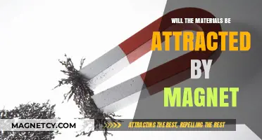 Magnetic Attraction: Which Materials Will Stick to a Magnet?