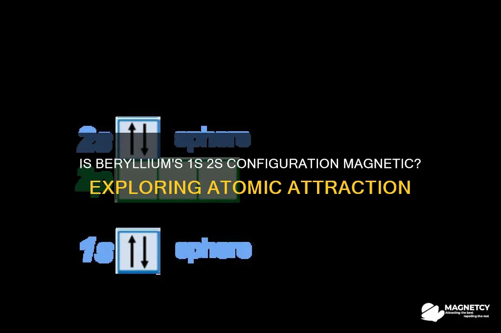 would beryllium 1s 2s be attracted to a magnet