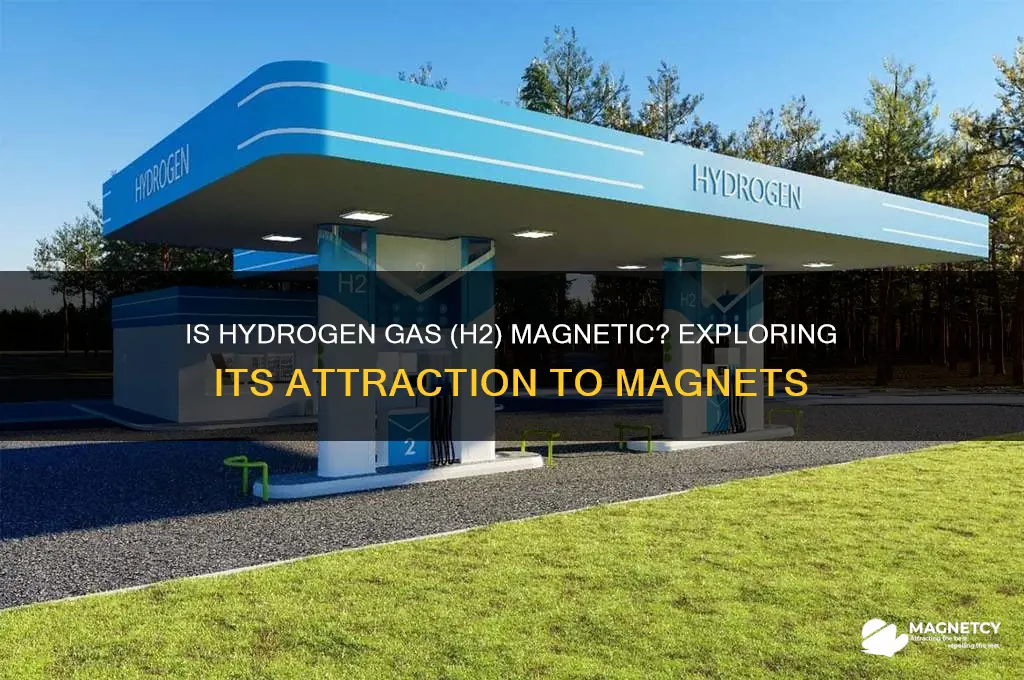 would h2 be attracted by a magnet