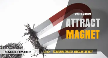 Do Magnets Attract Each Other? Exploring Magnetic Forces and Interactions