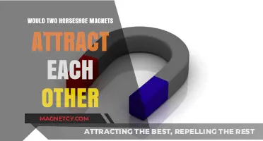 Do Horseshoe Magnets Attract? Exploring Magnetic Poles and Forces